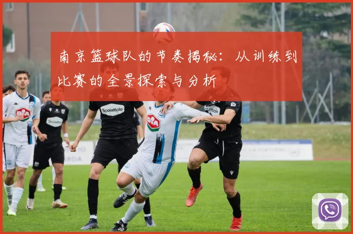 南京篮球队的节奏揭秘：从训练到比赛的全景探索与分析