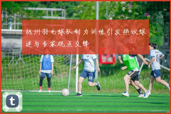 杭州羽毛球队耐力训练引发热议球迷与专家观点交锋