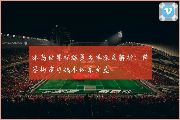 冰岛世界杯球员名单深度解析：阵容构建与战术体系全览