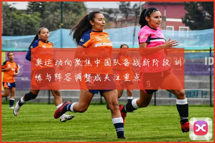 奥运动向聚焦中国队备战新阶段 训练与阵容调整成关注重点