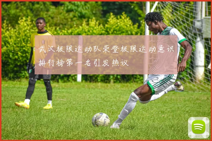 武汉极限运动队荣登极限运动意识排行榜第一名引发热议